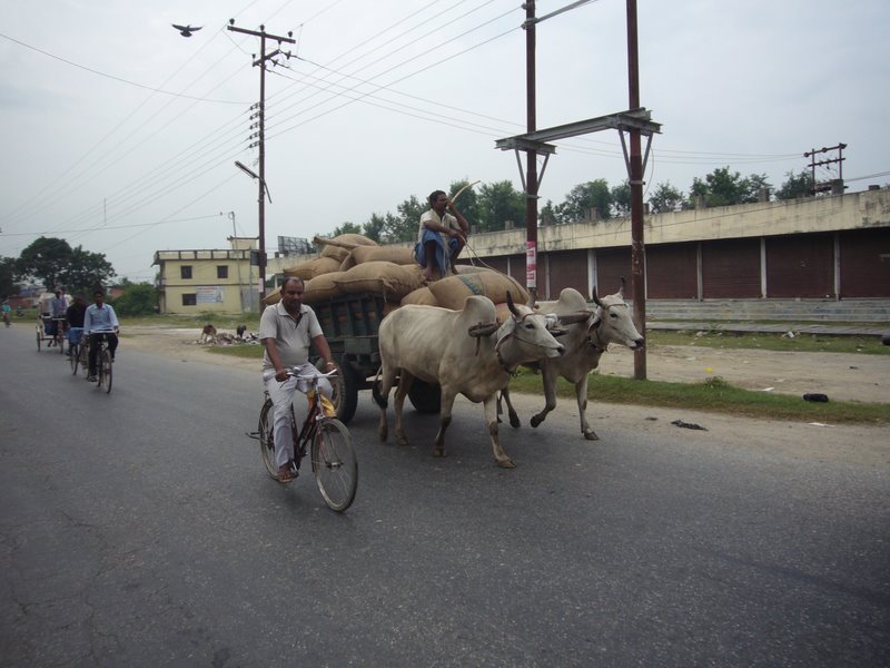 Travel - Nepal - Sunauli Gorakhpur